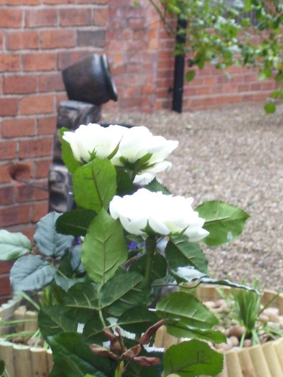 Fownes Hotel Worcester Rum bild